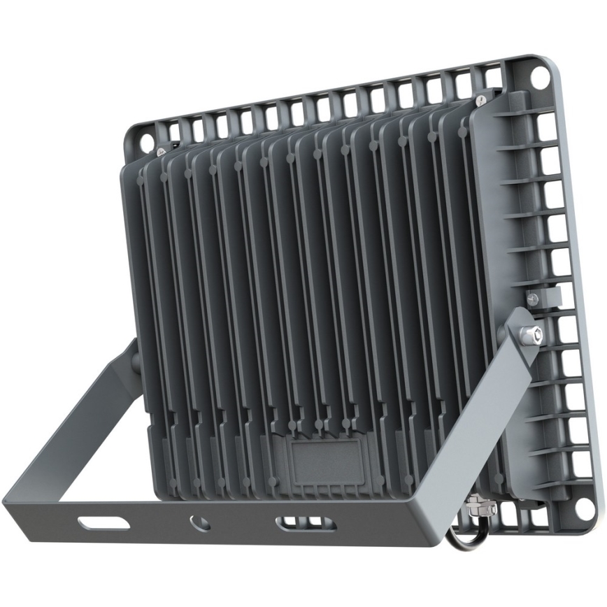 APLED - Светодиодный уличный прожектор PRO LED/100W/230V IP66 10000 лм 6000K
