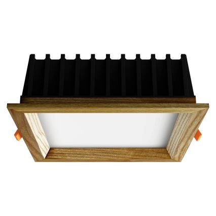APLED - Світлодіодний вбудований світильник SQUARE WOODLINE LED/12W/230V 3000K 17x17 см ясеневий масив