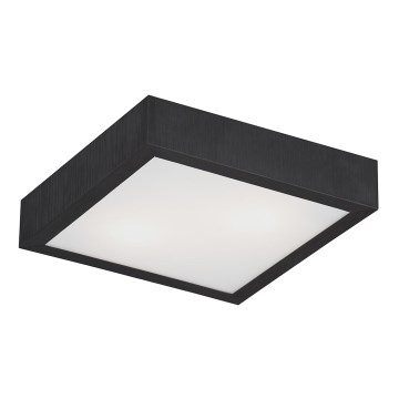 Argon 0723 - Потолочный светильник TEQUILA BIS 2xE27/60W/230V