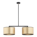 Argon 0898 - Люстра на штанзі KARIN 2xE27/15W/230V латунь/чорний
