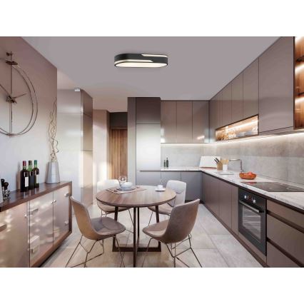 Argon 0904 - Потолочный светильник TONI 2xE27/15W/230V черный/золотистый