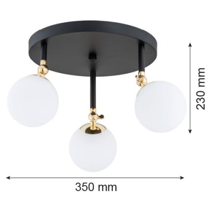 Argon 1436 - Накладная люстра для ванной LATINA 3xE14/40W/230V IP44