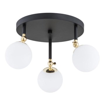 Argon 1436 - Припотолочная люстра для ванной комнаты LATINA 3xE14/40W/230V IP44