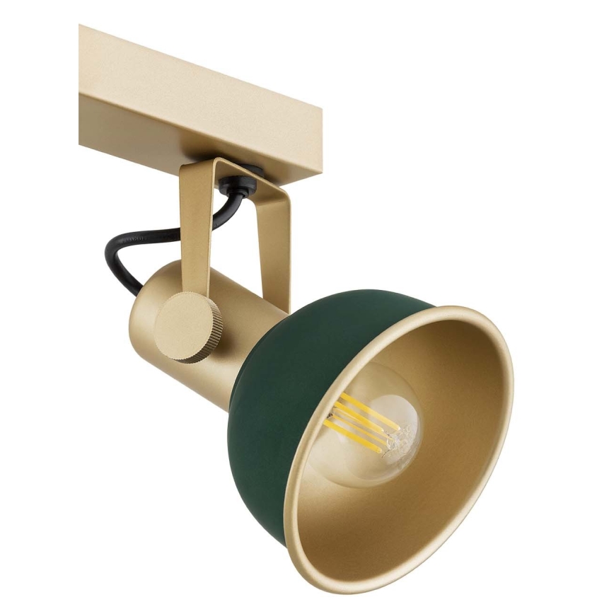 Argon 1800 - Точковий світильник LENORA 4xE14/7W/230V золотистий/зелений