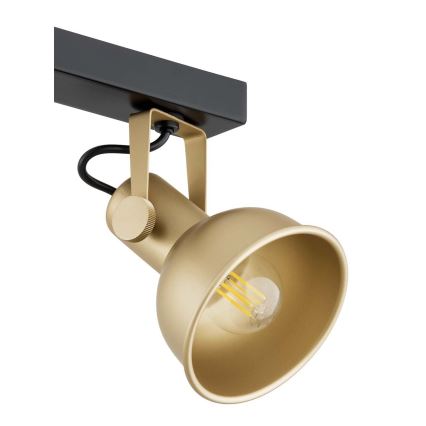 Argon 1801 - Точечный светильник LENORA 4xE14/7W/230V золотой/черный
