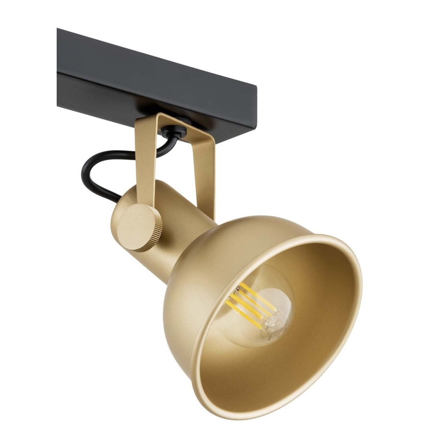 Argon 1801 - Точковий світильник LENORA 4xE14/7W/230V золотистий/чорний