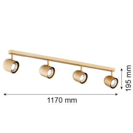 Argon 1810 - Точковий світильник ISOLA 4xGU10/5W/230V