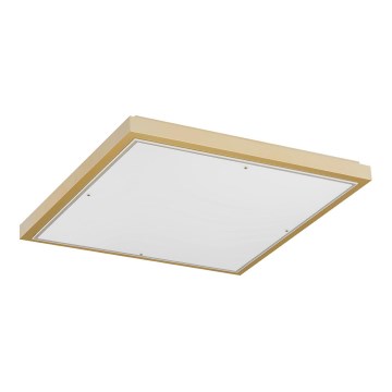Argon 1816 - Стельовий світильник CARLSON 4xE27/15W/230V 60x60 см золотий