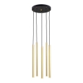 Argon 2109 - Підвісна LED люстра SICILIA 5xLED/4,5W/230V