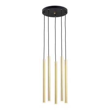 Argon 2109 - Підвісна LED люстра SICILIA 5xLED/4,5W/230V