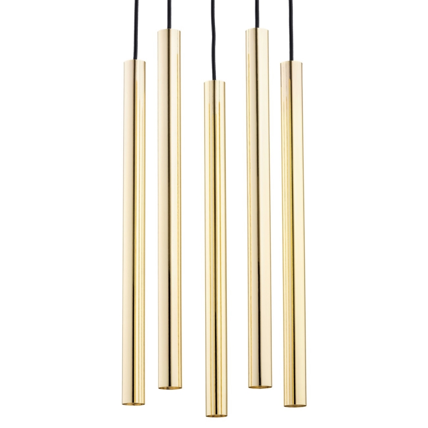 Argon 2109 - Светодиодная люстра на тросе SICILIA 5xLED/4,5W/230V