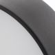 Argon 3081 - Потолочный светильник DARLING 2xE27/15W/230V диаметр 25 см черный