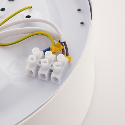 Argon 3082 - Потолочный светильник DARLING 2xE27/15W/230V диаметр 25 см белый