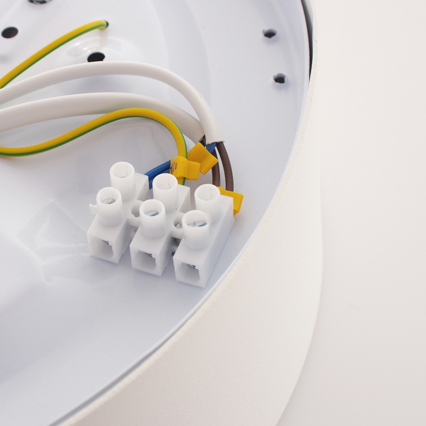 Argon 3082 - Потолочный светильник DARLING 2xE27/15W/230V диаметр 25 см белый