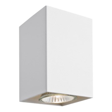 Argon 3087 - Точечный светильник TYBER 3 1xGU10/50W/230V