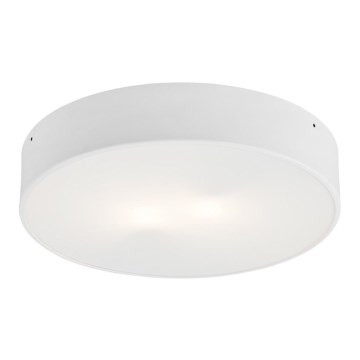 Argon 3567  - Світлодіодний стельовий світильник DARLING LED/25W/230V