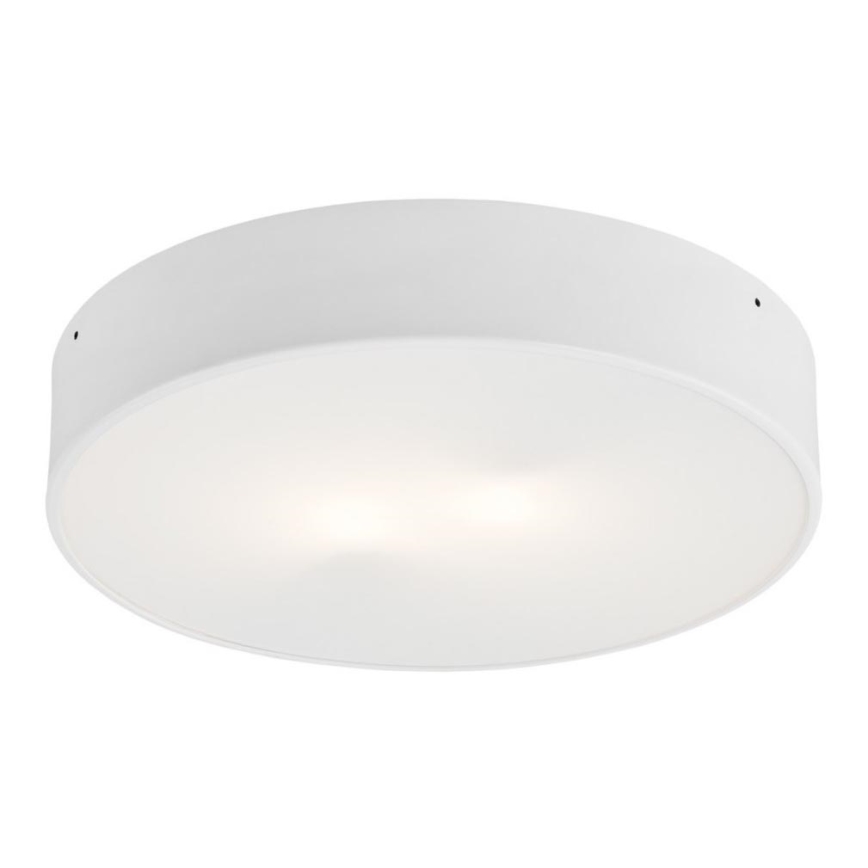 Argon 3567  - Світлодіодний стельовий світильник DARLING LED/25W/230V