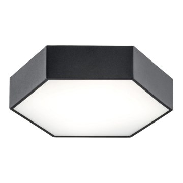 Argon 3823 - Світлодіодний стельовий світильник ARIZONA LED/22,5W/230V чорний