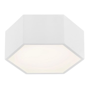 Argon 3828 - Світлодіодний стельовий світильник ARIZONA LED/9W/230V білий