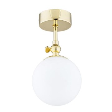 Argon 4001 - Накладний стельовий світильник для ванної кімнати LATINA 1xE14/40W/230V IP44