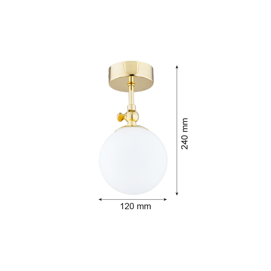 Argon 4001 - Накладний стельовий світильник для ванної кімнати LATINA 1xE14/40W/230V IP44