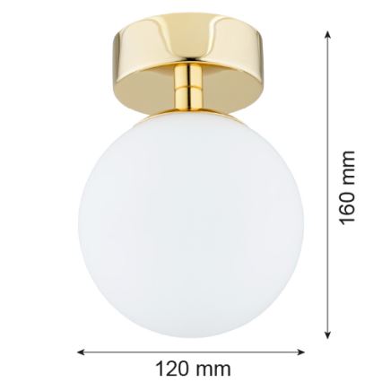 Argon 4004 - Потолочный светильник FLAVIO 1xE14/7W/230V