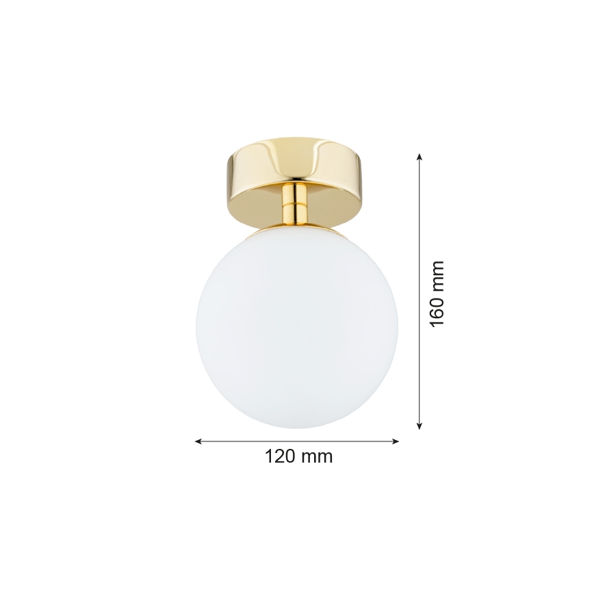 Argon 4004 - Стельовий світильник для ванної кімнати FLAVIO 1xE14/7W/230V IP44