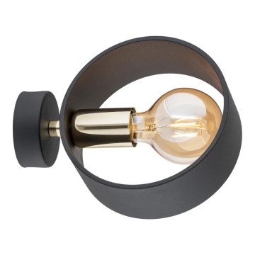 Argon 4069 - Настенный светильник AMADORA 1xE27/15W/230V черная