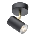 Argon 4210 - Потолочный точечный светильник LAGOS 1xGU10/5W/230V черный/латунь