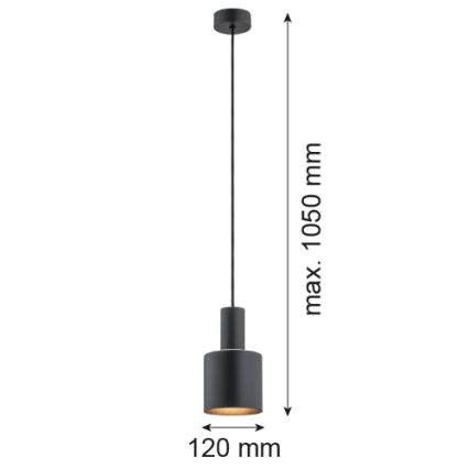 Argon 4219 - Люстра на тросе SINES 1xE27/15W/230V ⌀ 12 cm черная
