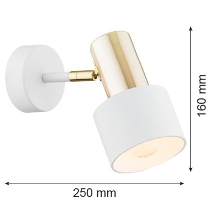 Argon 4264 - Настінний точковий світильник DORIA 1xE27/15W/230V білий/латунь