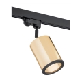 Argon 4303 - Точечный светильник для трековой системы DELF 1xE27/15W/230V золотистый