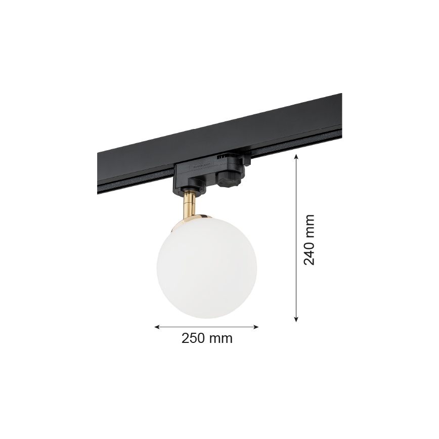 Argon 4307 - Точковий світильник для трекової системи BANG 1xG9/6W/230V латунь