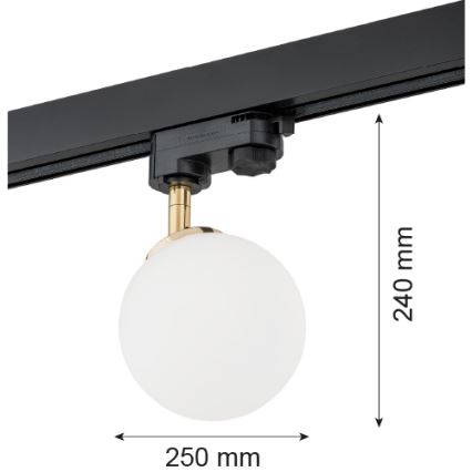 Argon 4307 - Точковий світильник для трекової системи BANG 1xG9/6W/230V латунь