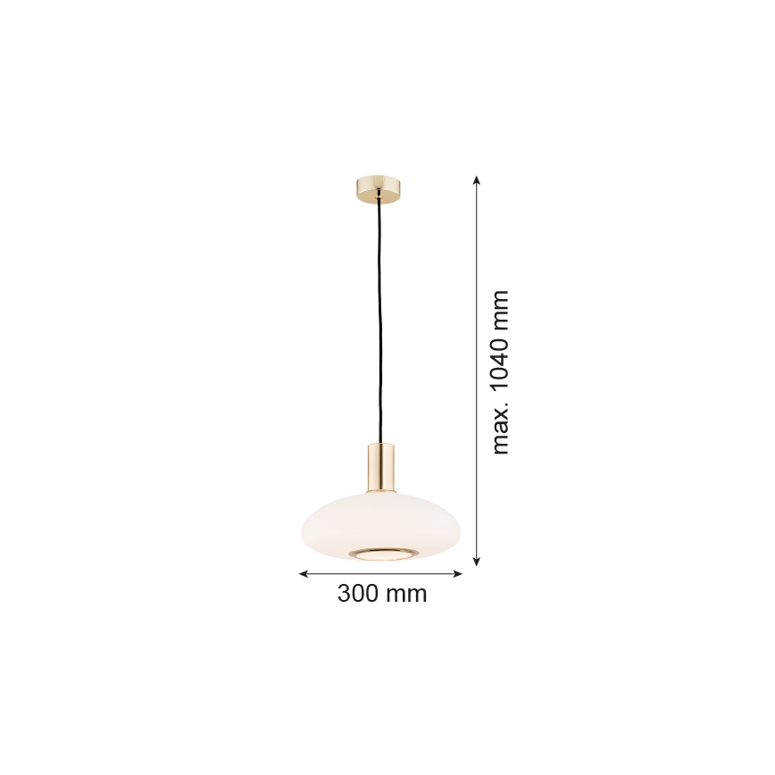 Argon 4358 - Люстра на тросе SAGUNTO 1xE27/15W/230V ⌀ 30 cm латунь