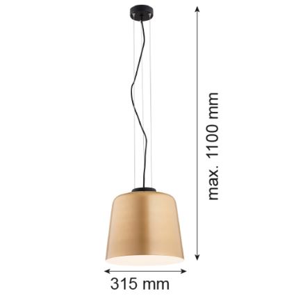 Argon 4690 - Підвісна люстра BERKLEY 1xE27/15W/230V