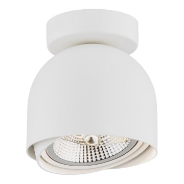 Argon 4710 - Точечный светильник GARLAND 1xGU10-AR111/12W/230V белый