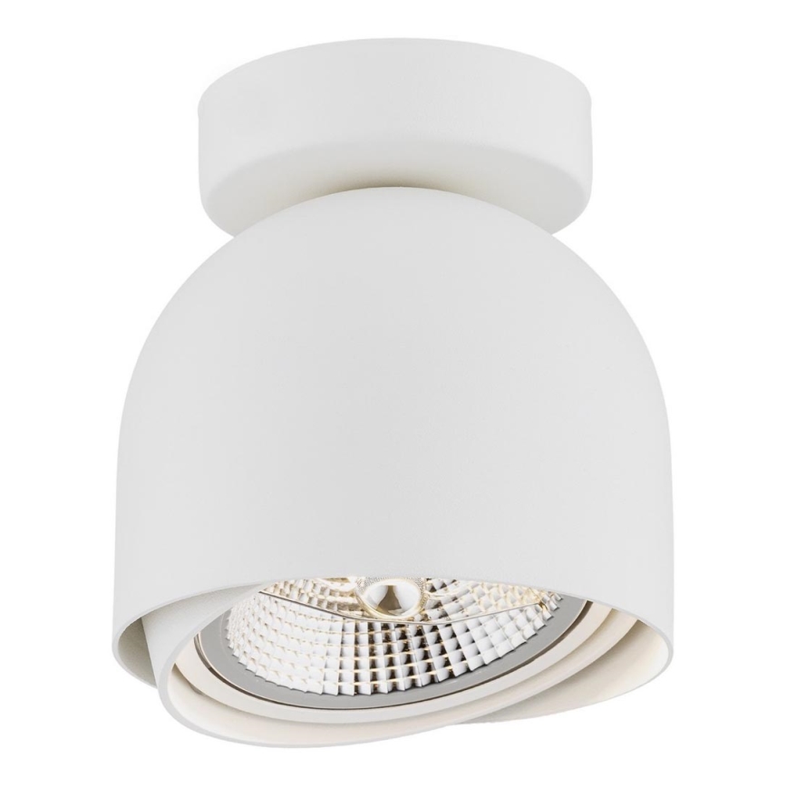 Argon 4710 - Точечный светильник GARLAND 1xGU10-AR111/12W/230V белый