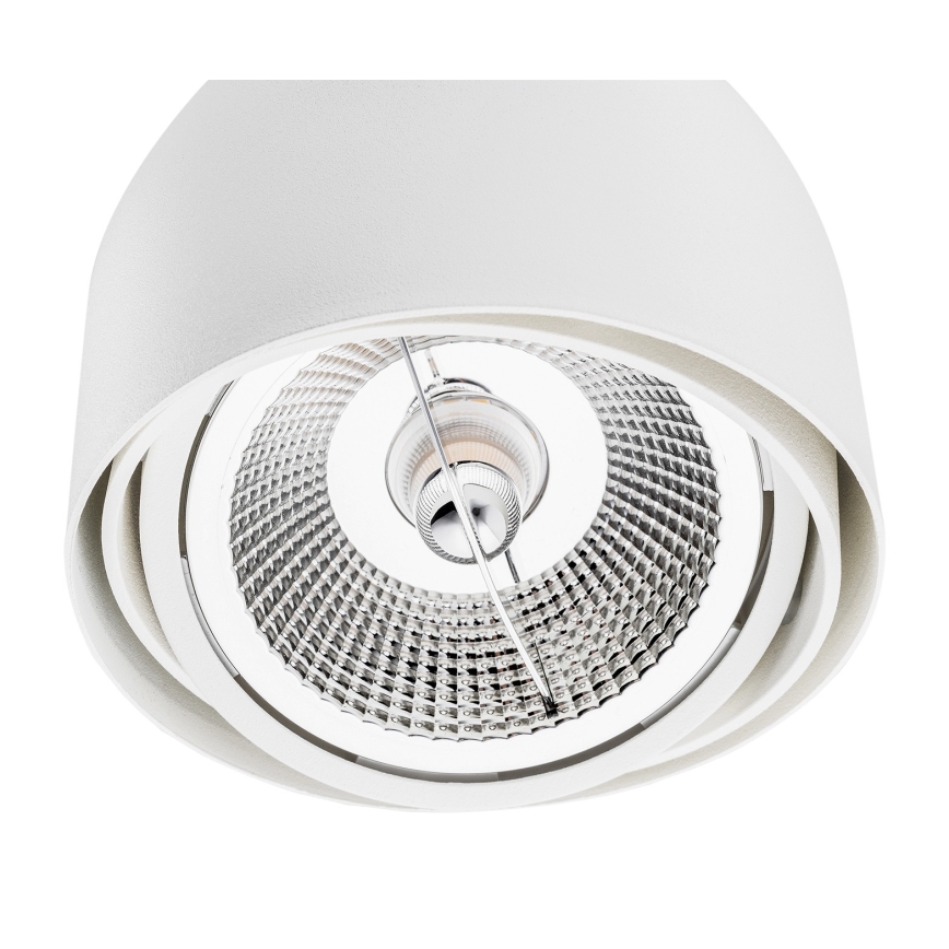 Argon 4710 - Точечный светильник GARLAND 1xGU10-AR111/12W/230V белый