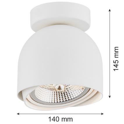 Argon 4710 - Точечный светильник GARLAND 1xGU10-AR111/12W/230V белый