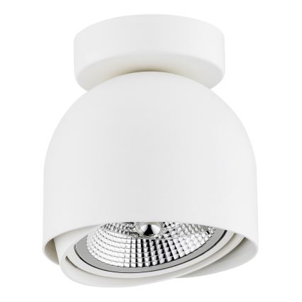 Argon 4710 - Точечный светильник GARLAND 1xGU10-AR111/12W/230V белый
