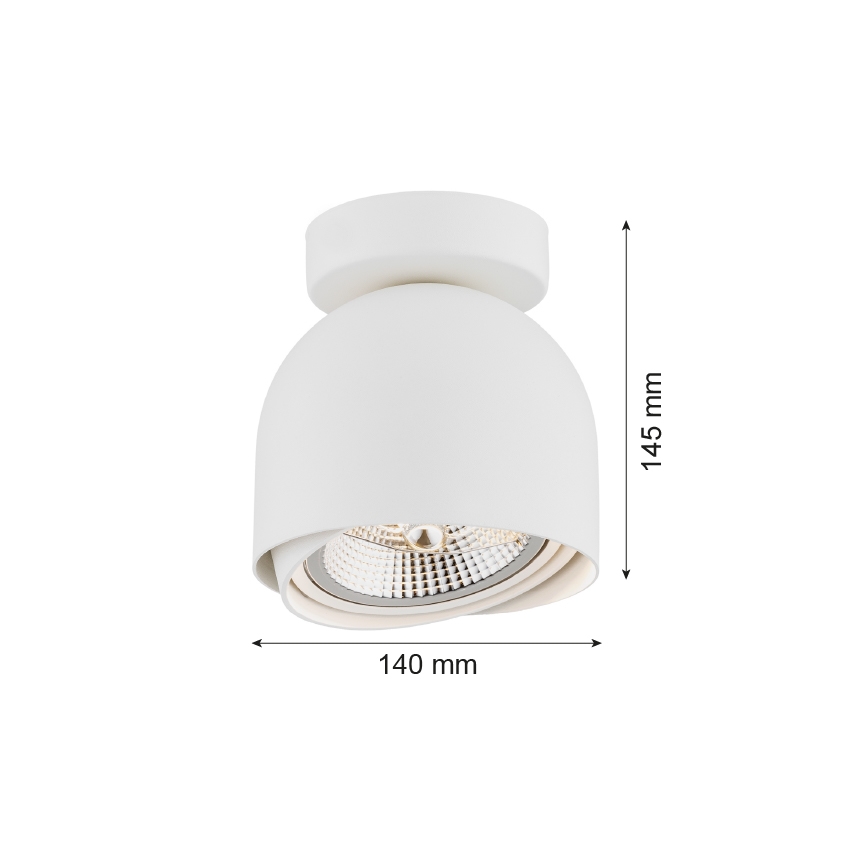Argon 4710 - Точечный светильник GARLAND 1xGU10-AR111/12W/230V белый