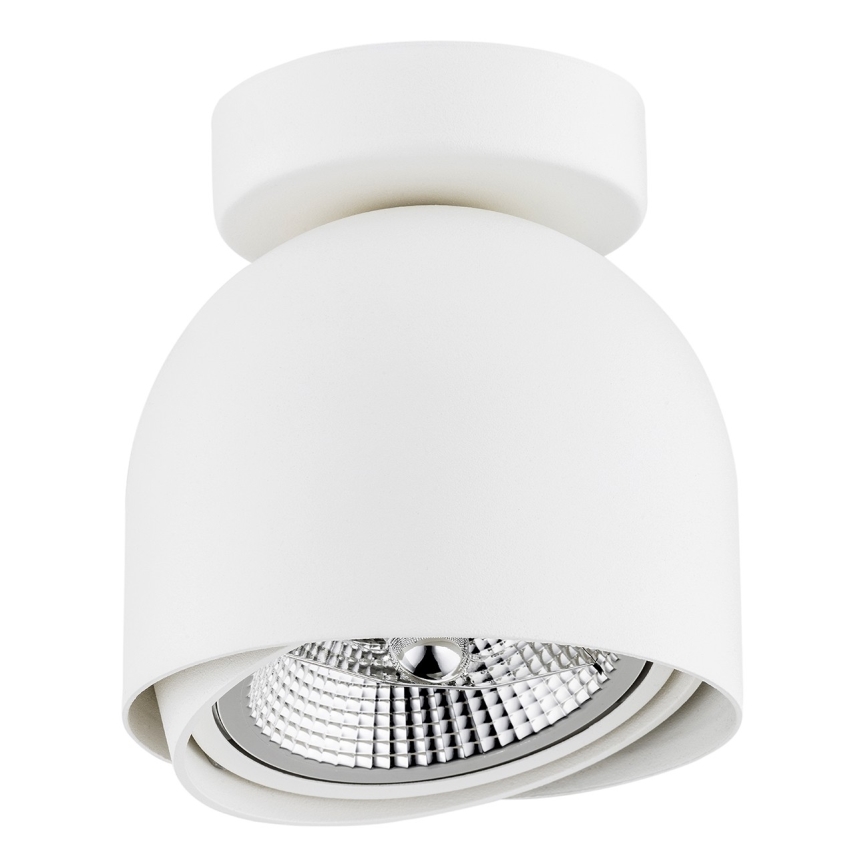 Argon 4710 - Точковий світильник GARLAND 1xGU10-AR111/12W/230V білий