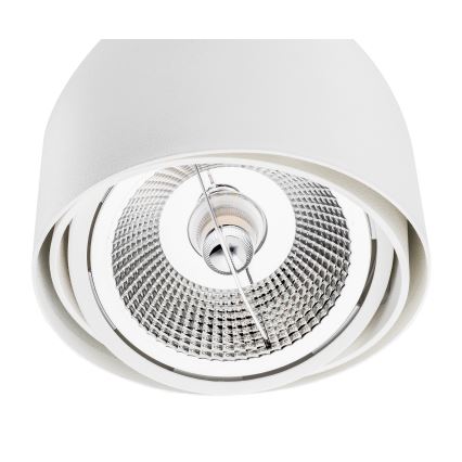 Argon 4710 - Точковий світильник GARLAND 1xGU10-AR111/12W/230V білий