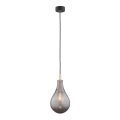 Argon 4716 - Люстра на тросе OAKLAND 1xG9/6W/230V