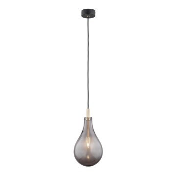Argon 4716 - Люстра на тросе OAKLAND 1xG9/6W/230V