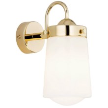 Argon 4717 - Настенный светильник для ванной комнаты PASADENA 1xE27/15W/230V IP44