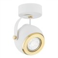 Argon 4901 - Точечный светильник KOS PLUS 1xGU10/5W/230V белая/золотая