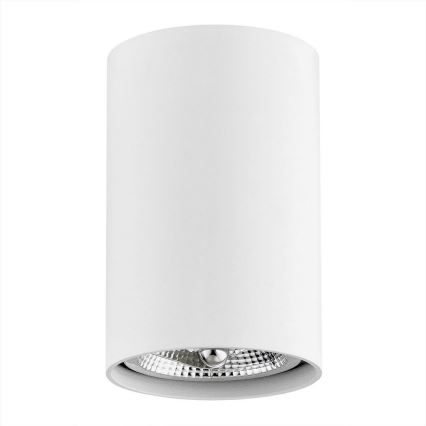 Argon 4910 - Точечный светильник TUBO AR111 1xGU10/15W/230V белая