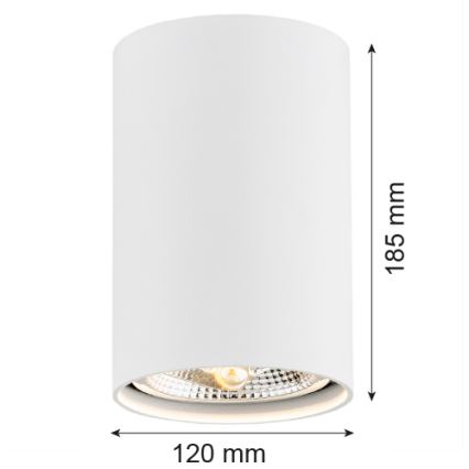 Argon 4910 - Точковий світильник TUBO AR111 1xGU10/15W/230V білий
